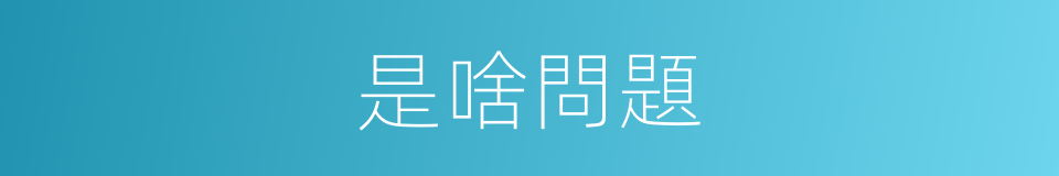 是啥問題的意思