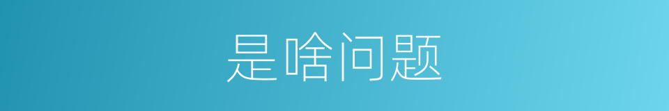 是啥问题的意思