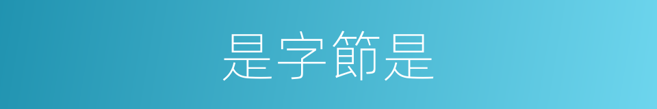 是字節是的意思