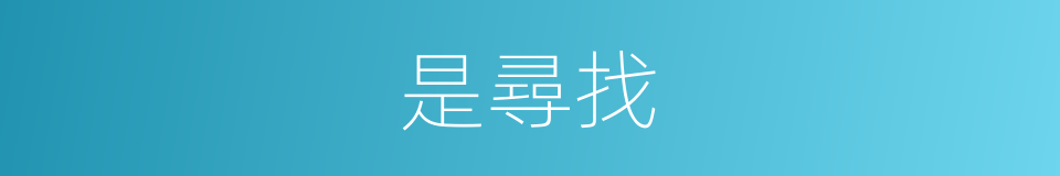 是尋找的意思