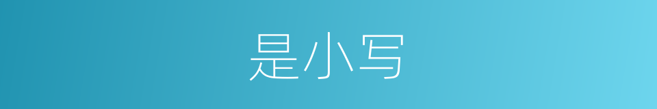 是小写的意思