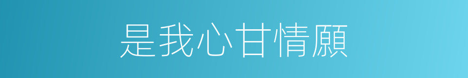 是我心甘情願的同義詞