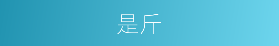 是斤的意思