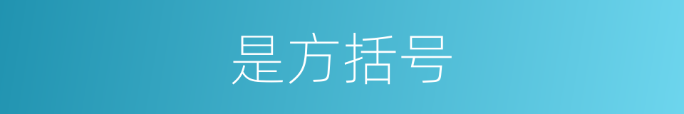 是方括号的意思