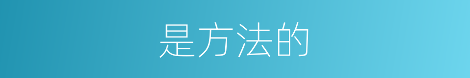 是方法的的同义词