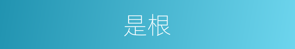 是根的意思