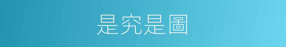 是究是圖的意思