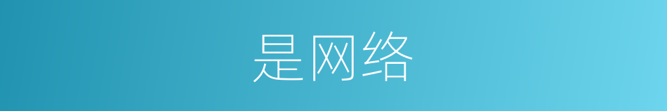 是网络的意思