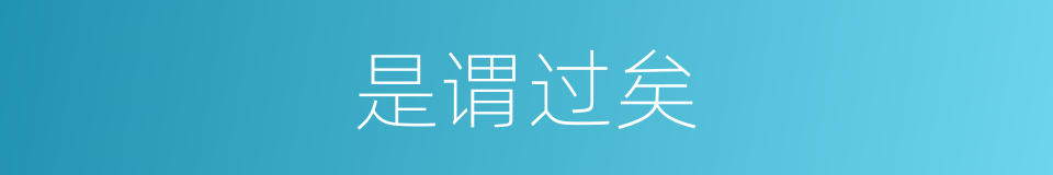 是谓过矣的意思