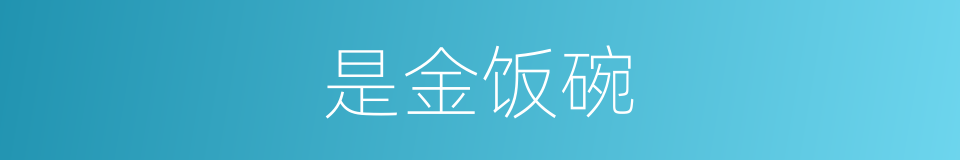是金饭碗的意思