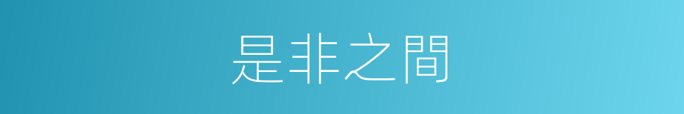 是非之間的同義詞