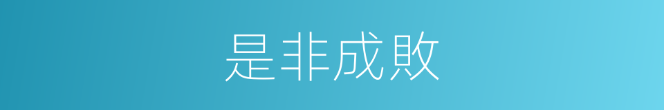 是非成敗的同義詞