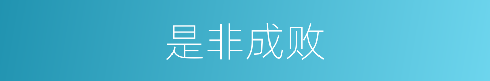 是非成败的同义词