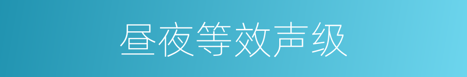 昼夜等效声级的同义词