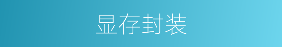 显存封装的同义词