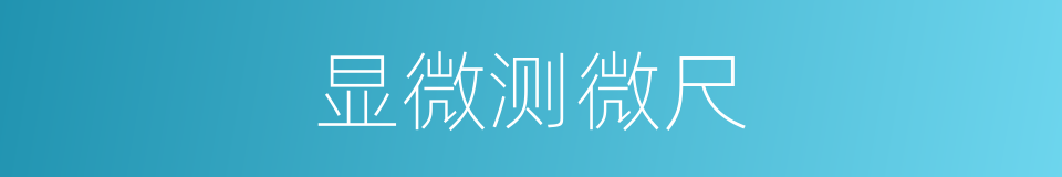 显微测微尺的同义词