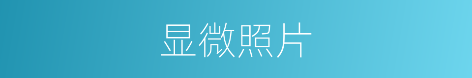 显微照片的意思