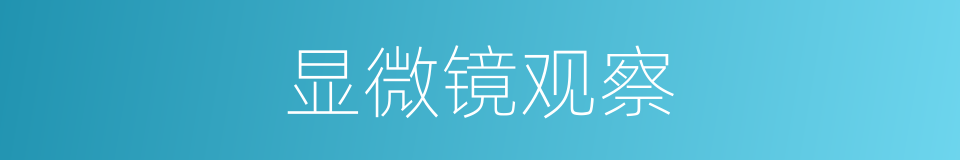 显微镜观察的同义词