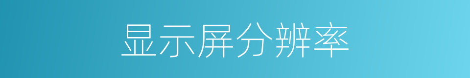 显示屏分辨率的同义词