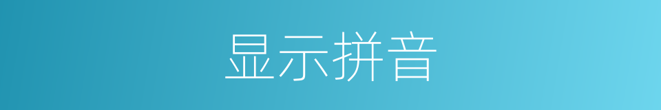 显示拼音的意思