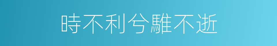 時不利兮騅不逝的同義詞