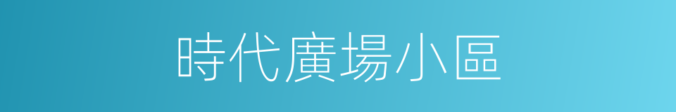 時代廣場小區的同義詞