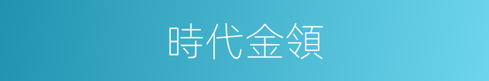 時代金領的同義詞