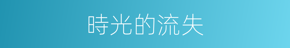 時光的流失的同義詞
