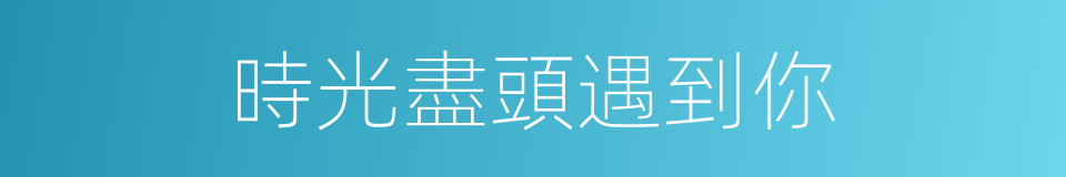 時光盡頭遇到你的同義詞