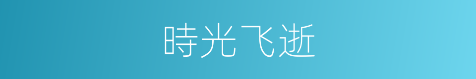 時光飞逝的意思