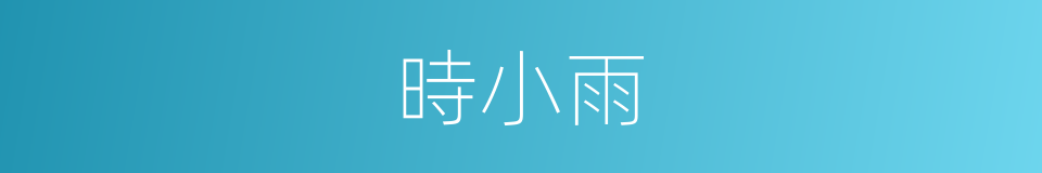 時小雨的同義詞