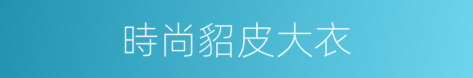 時尚貂皮大衣的同義詞