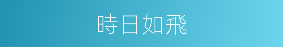 時日如飛的同義詞