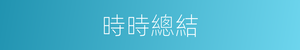 時時總結的同義詞