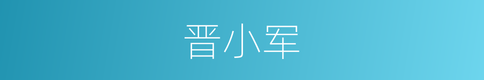 晋小军的同义词