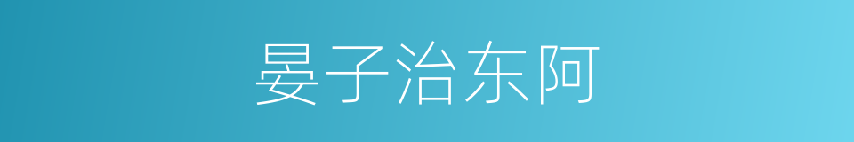 晏子治东阿的同义词