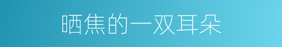 晒焦的一双耳朵的同义词