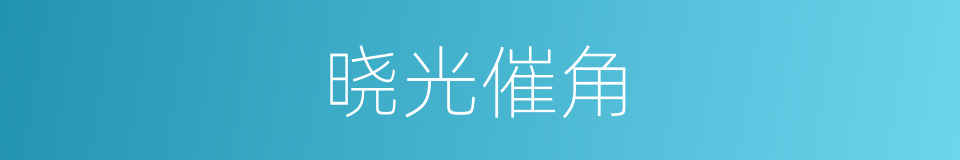 晓光催角的同义词