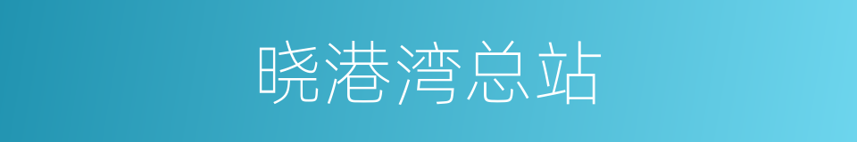 晓港湾总站的同义词