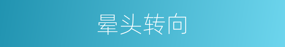 晕头转向的意思