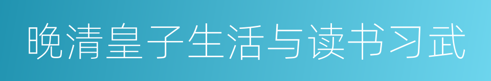 晚清皇子生活与读书习武的同义词