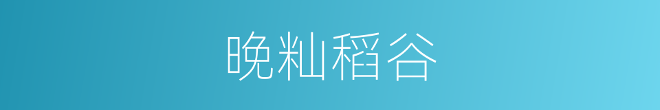 晚籼稻谷的同义词