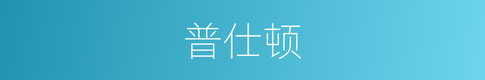 普仕顿的同义词