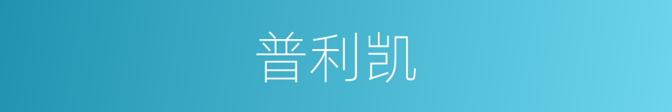 普利凯的同义词