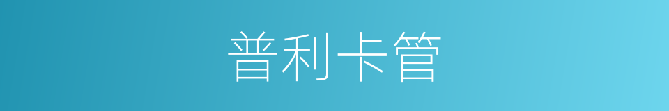 普利卡管的意思