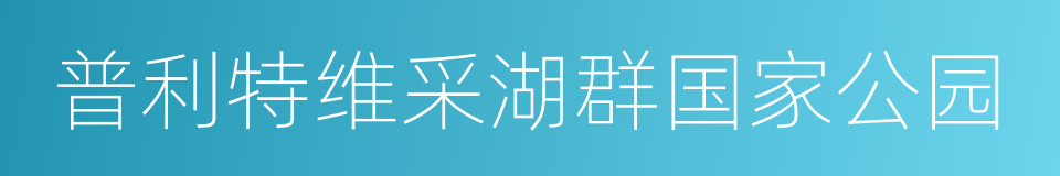 普利特维采湖群国家公园的同义词