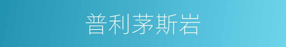 普利茅斯岩的同义词