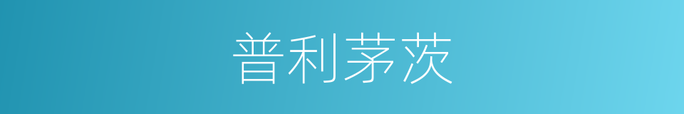 普利茅茨的同义词