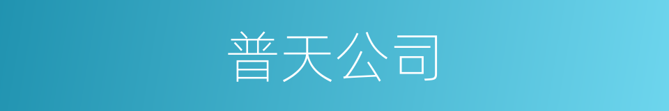 普天公司的同义词