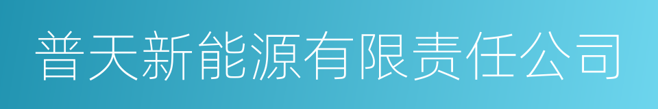 普天新能源有限责任公司的同义词